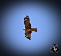 /album/fotogaleria/img-5491-jpg/