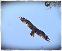 /album/fotogaleria/img-5492-jpg/