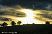 /album/fotogaleria/img-3229-jpg/